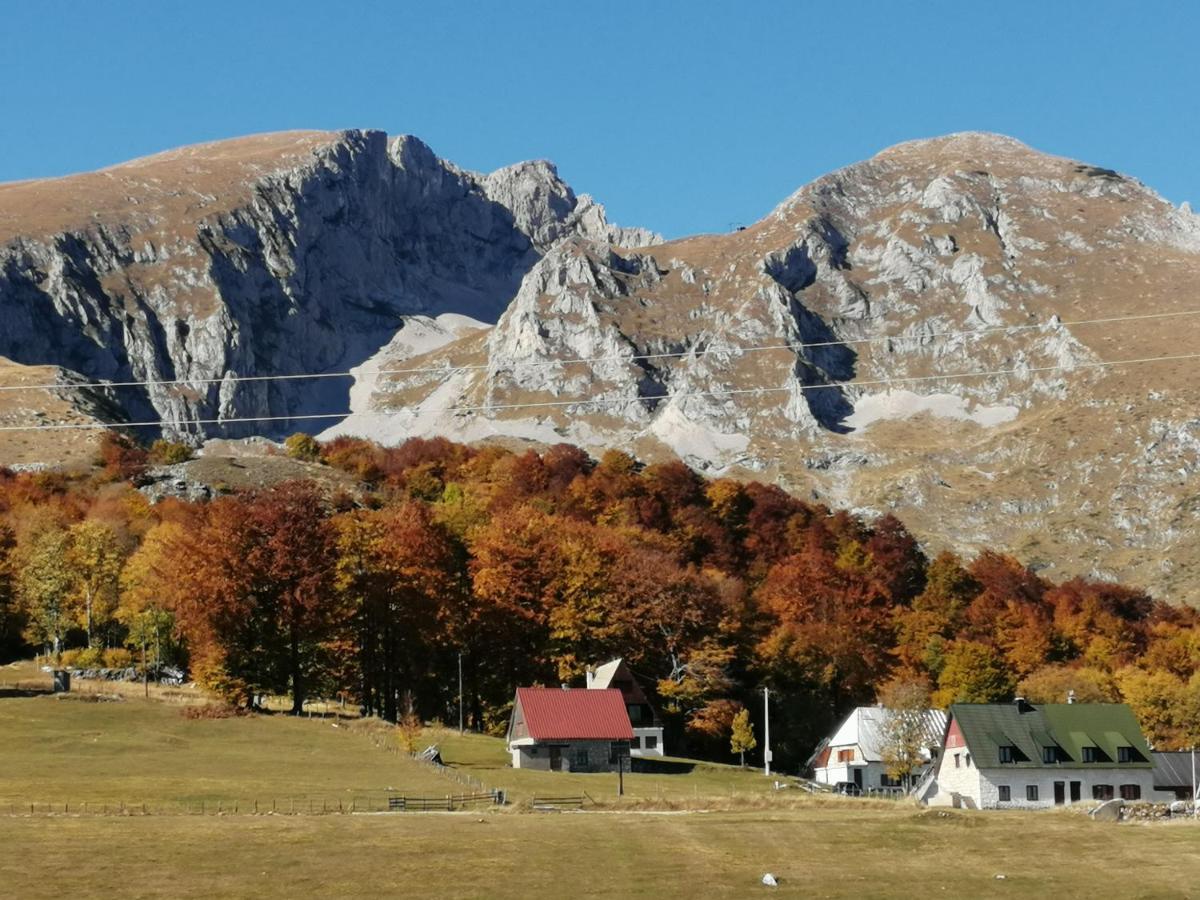 Mountain Village Zabljak  Exterior photo