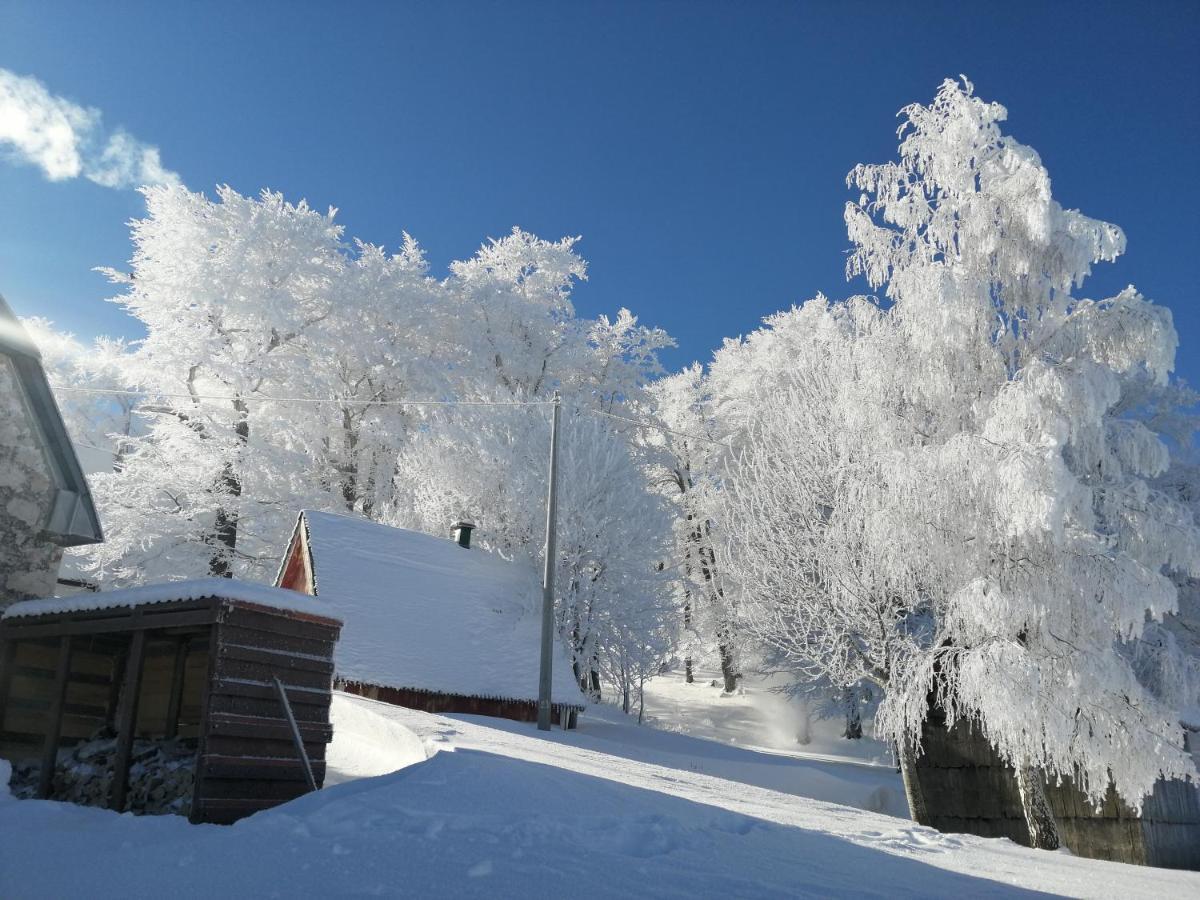 Mountain Village Zabljak  Exterior photo