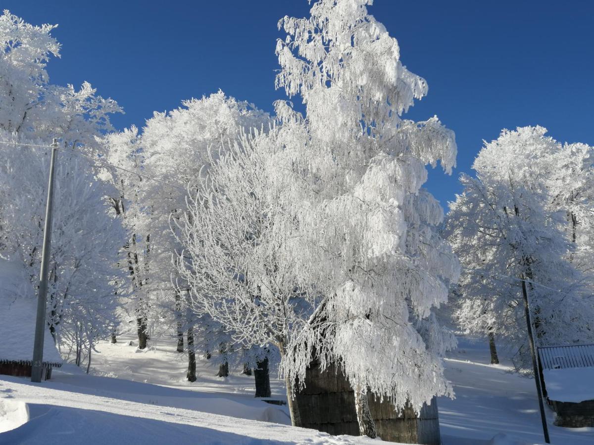 Mountain Village Zabljak  Exterior photo